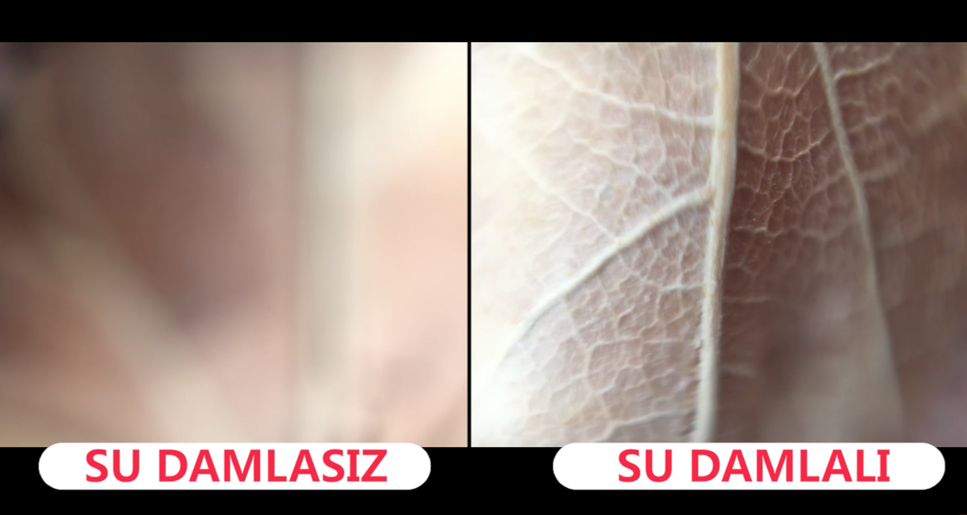 Sosyal Medyada Çılgınlar Gibi Beğeni Almanızı Sağlayacak 5 Kamera Hilesi