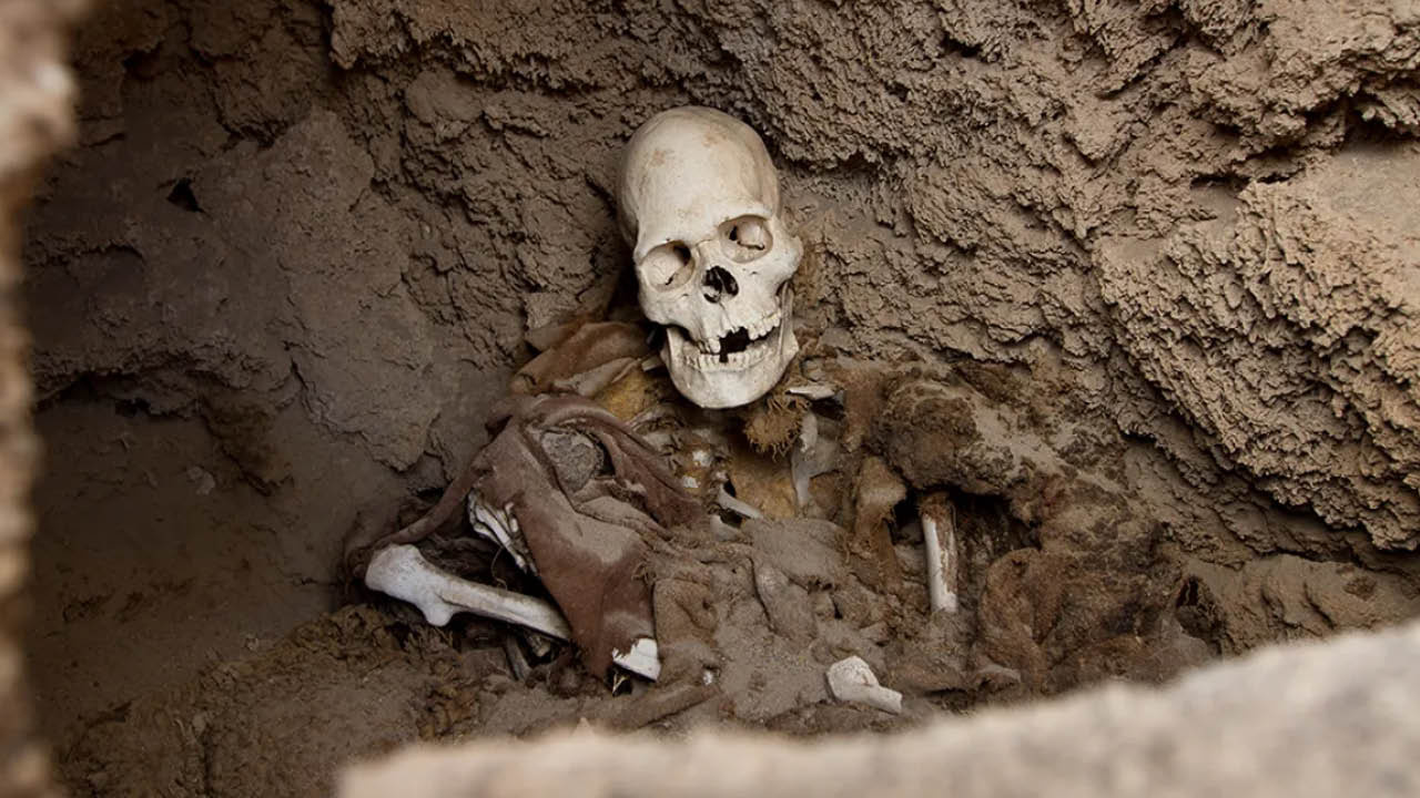 6 insandan oluşan 2 farklı “Frankenstein kalıntısı” keşfedildi