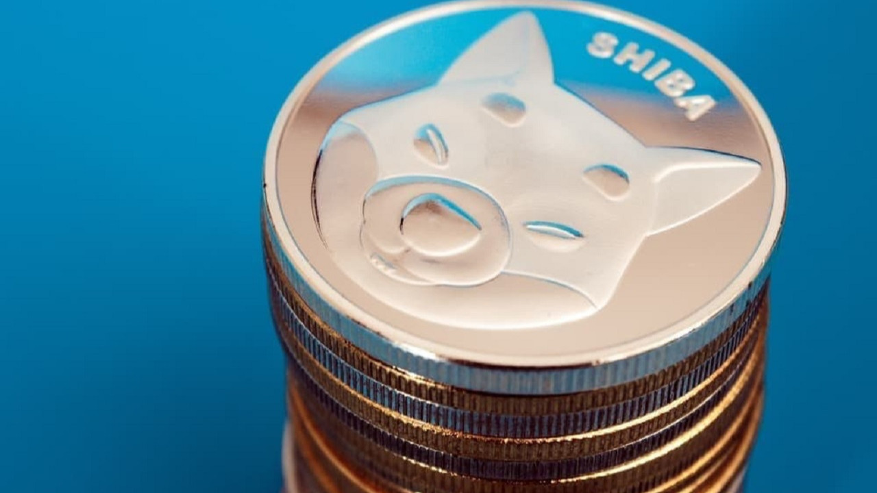 AIgoritma, 2023 Sevgililer Günü için Shiba Inu fiyatını belirledi