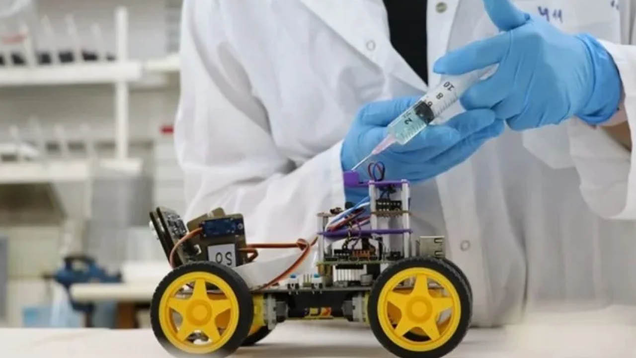 Gerçek çekirge antenleri kullanarak koku alabilen robot yaptılar