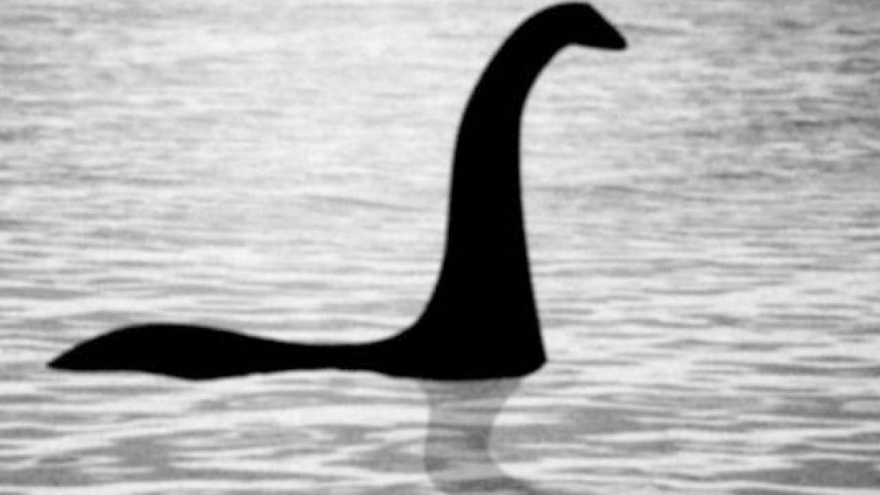 Ünlü Loch Ness canavarı, iddia edildiği gibi dev bir yılanbalığı olabilir mi?