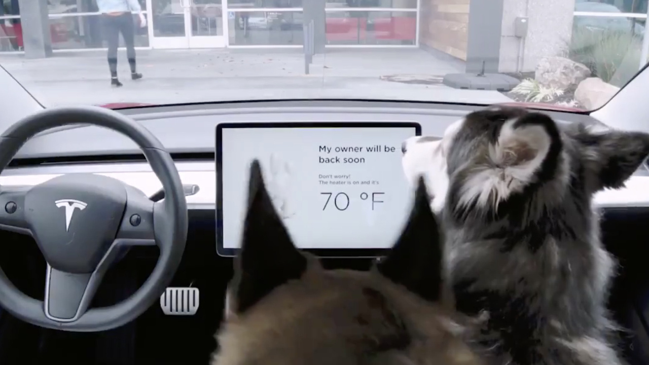 Tesla otomobillerde bulunan Köpek Modu nedir? Tesla’nın köpek modu ne işe yarıyor?