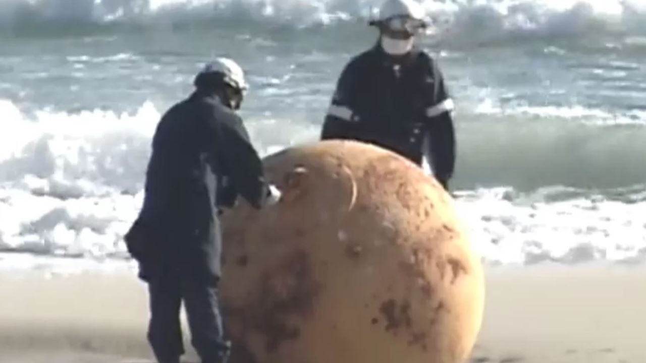 Casus balon, UFO, dinozor yumurtası: Japonya sahile vuran gizemli cisimle şaşkına döndü