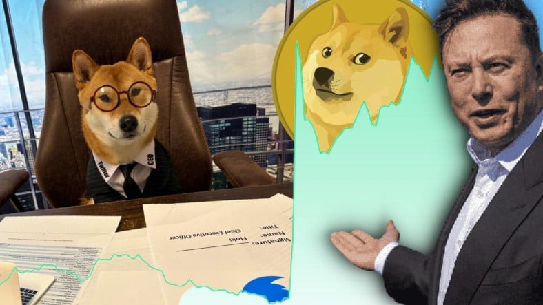 Elon Musk, İki Tweetle DOGE’u Uçuşa Geçirdi