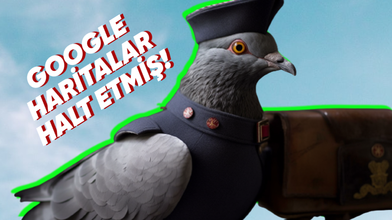 Posta Güvercinleri Yollarını Nasıl Buluyorlardı?