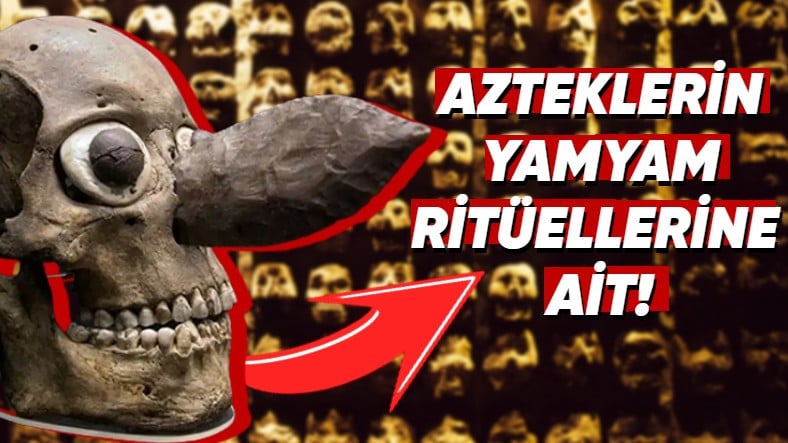 Birbirinden Ürkütücü 10 Arkeolojik Keşif – Webtekno