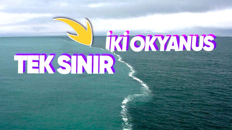Okyanusta Birleşen Sular Gerçekten Karışmıyor mu?