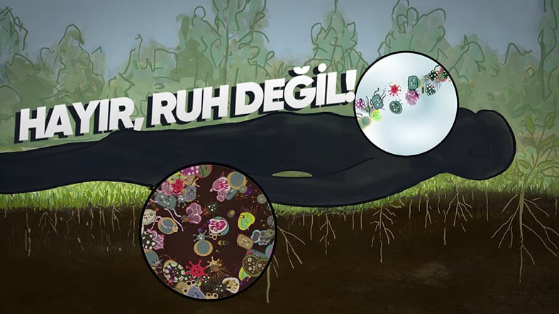 Meğer Ölümden Sonra Yaşam Varmış! Ama Pek de Düşündüğümüz Gibi Değil…